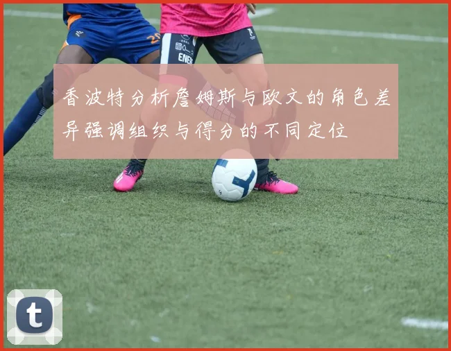 香波特分析詹姆斯与欧文的角色差异强调组织与得分的不同定位