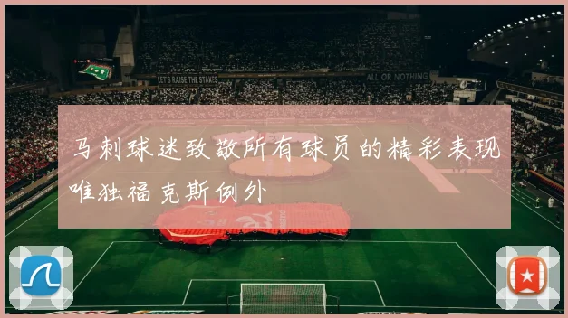 马刺球迷致敬所有球员的精彩表现唯独福克斯例外