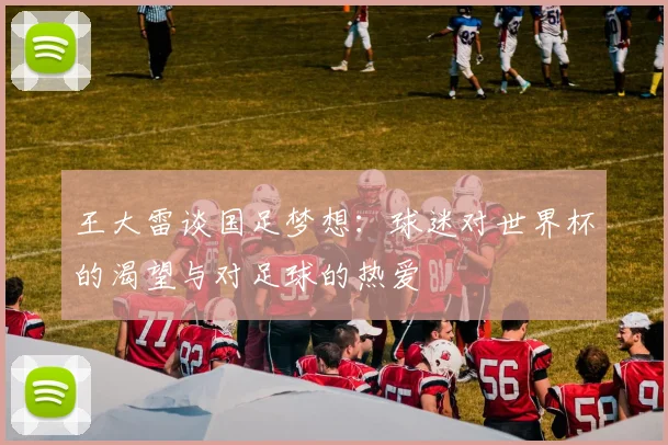 王大雷谈国足梦想：球迷对世界杯的渴望与对足球的热爱